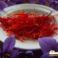 ابتکار ایرانی برای استفاده زنبور از خواص زعفران