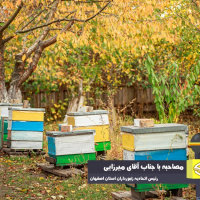 سهم ناچیز 4 درصدی زنبورداران از بیمه تأمین اجتماعی | سنگ‌اندازی ماده 20 جلوی بیمه زنبورداران را گرفته است