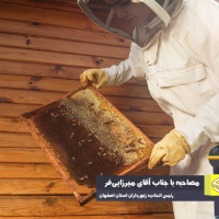 اصفهان دارای کامل‌ترین زنجیره تولیدی در صنعت زنبورداری کشور است