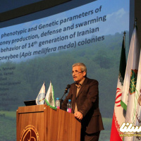 دکتر غلام حسین طهماسبی