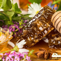آنتی اکسیدان بودن عسل طبیعی به چه معناست؟