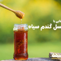 عسل گندم سیاه؛ یک عسل بین المللی و پرخاصیت