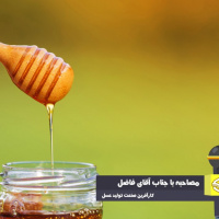 برای توفیق در صادرات عسل نیازمند ادوات تولیدی مدرن و احیای نظارت هستیم