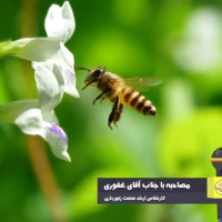 صادرات زهر زنبورعسل سبب تحول صنعت زنبورداری می‌شود