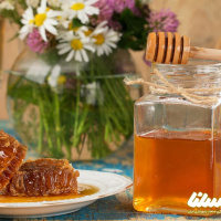 کدام عسل های تک گل برای درمان کرونا موثر هستند؟