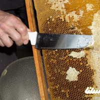 3 روش متداول استخراج عسل طبیعی