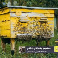 کشف اثر مصرف بره موم بر کاهش تلفات و افزایش بهره‌وری مرغداری‌ها