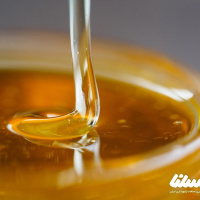 خواص عسل شبدر که باید بشناسید