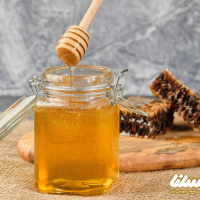 تولید عسل در کرمانشاه در سال ۹۸ افزایش داشته است