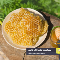 اَشَن روستای نمونه زنبورداری کشور با 480 هزار کلنی