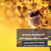 خام فروشی زهر زنبورعسل اتلاف سرمایه‌های بیولوژیک کشور است