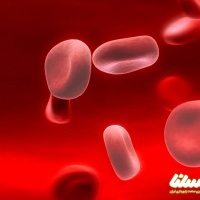 ژل رویال چگونه به درمان کم خونی کمک می کند؟