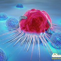 چرا بره موم یک ماده ضد تومور است؟