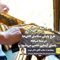 پایش ملی وضعیت سلامتی کلنی‌های زنبورعسل کشور در حال برگزاری است