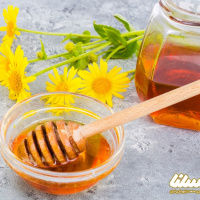 پیش‌بینی افزایش ۳۰ درصدی تولید عسل در فامنین