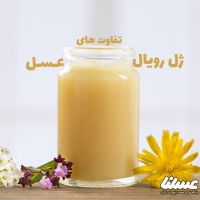 تفاوت ژل رویال با عسل چیست؟