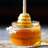 صادرات عسل از اردبیل به 220 تن می رسد