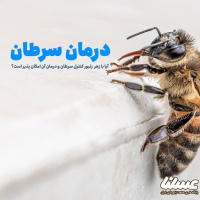 زهر زنبور عسل چطور به درمان سرطان کمک می کند؟