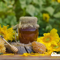صادرات عسل از آذربایجان شرقی به 43 تن رسده است