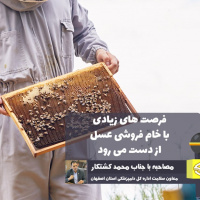 خام فروشی عسل و نبود استانداردهای صادراتی چالش صنعت زنبورداری