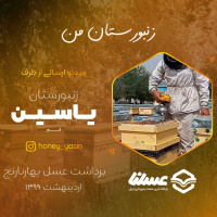 ویدئو: برداشت عسل بهارنارنج از زنبورستان یاسین اردیبهشت 99