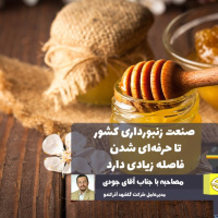 فاصله زیاد صنعت زنبورداری کشور تا حرفه‌ای شدن