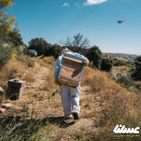 جهش تولید با کار آفرینی عشایر و پرورش ۵ هزار کلنی زنبور عسل در کهگیلویه
