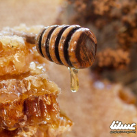 استاندارد اجباری عسل، نگرانی بابت عسل‌های تقلبی را کاهش می‌دهد