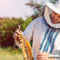 میزان عسل تولید شده در لرستان به 2800 تن رسید