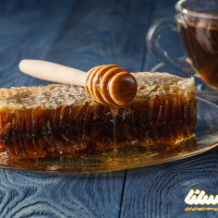 میزان تولید عسل در مازندران به 6 هزار و 300 تن رسید