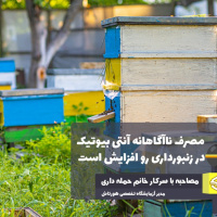مصرف ناآگاهانه آنتی بیوتیک در زنبورداری رو افزایش است
