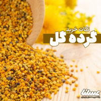 نکات خرید گرده گل؛ چطور بهتر گرده گل بخریم؟