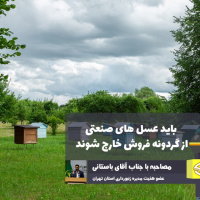 زنبورداری، صنعتی فراموش شده در کشور