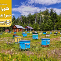 آیا تصدی مالکان برند در اتحادیه‌ها قابل‌قبول است؟