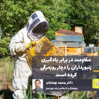 فقدان مدیریت اصولی و علمی زنبورستان‌ها / مقاومت در برابر یادگیری زنبورداران را دچار روزمرگی کرده است