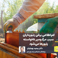 کم‌اطلاعی برخی زنبورداران سبب مرگ‌ومیر ناخواسته زنبورها می‌شود