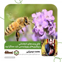 از کارگروه مشورتی استانداردسازی عسل حمایتی نشد/جای وعده‌های انتخاباتی و پیگیری‌های پوپولیسمی باید عملگرا بود
