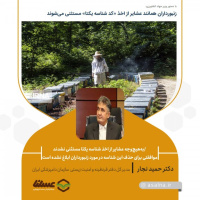 دکتر نجار: به‌هیچ‌وجه عشایر از اخذ شناسه یکتا مستثنی نشدند/ موافقتی برای حذف این شناسه در مورد زنبورداران ابلاغ نشده است