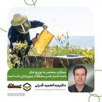 عملکرد منحصر به توزیع شکر باعث تلنبار شدن مشکلات زنبورداران شده است