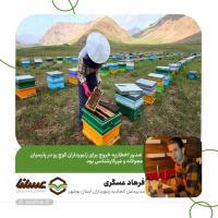 صدور اخطاریه خروج برای زنبورداران کوچ رو در پارسیان عجولانه و غیرکارشناسی بود