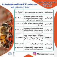 برگزاری 7 کارگاه تخصصی مجازی رویداد استارت‌آپ صنعت زنبورعسل