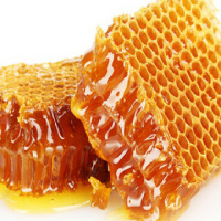 عسل طبیعی ؛ سلاح قوی برای مبارزه با باکتری های مقاوم به آنتی بیوتیک