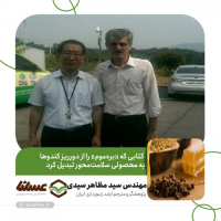 کتابی که «بره‌موم» را از دورریز کندوها به محصولی سلامت‌محور تبدیل کرد