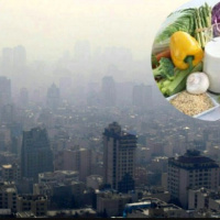کدام خوراکی ها  اثرات آلودگی هوا  بر بدن را کم میکنند/ مصرف عسل را جدی بگیرید