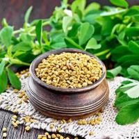 تمامی خواص و عوارض جانبی شنبلیله را اینجا بخوانید