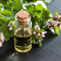 همه خواص ، عوارض جانبی و نحوه مصرف گیاه مرزنجوش