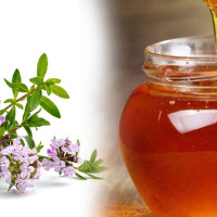 خواص آویشن / ترکیب شگفت انگیز عسل آویشن برای درمان سرطان