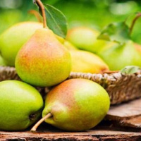 خواص گلابی / طبع گلابی را با عسل متعادل کنیم