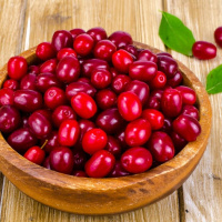 از خواص و مضرات زغال اخته بیشتر بدانیم + طرز تهیه دمنوش زغال اخته