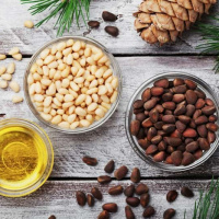 برگزاری کنفرانس هشتم زنبورداری و عسل کاج موغلا در ترکیه
